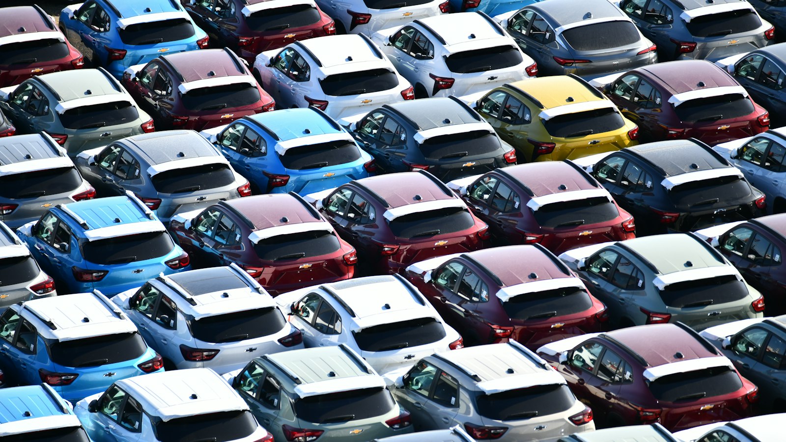 Golpe do falso leilão de veículos: pátio com fileiras de carros